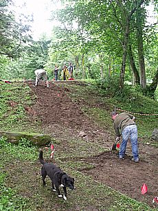 De-turfing Trench 1; Bramble supervising!