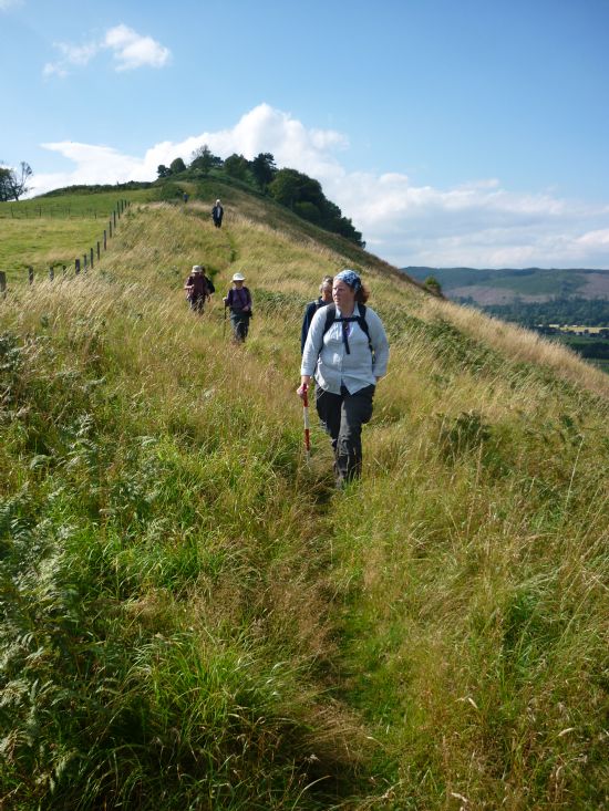 ARCH Pathways into the Past on Knockfarrel